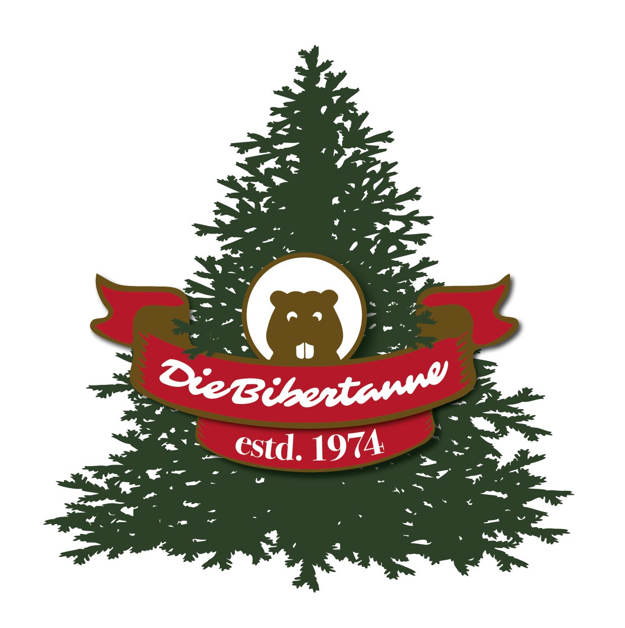 Bibertanne_2024